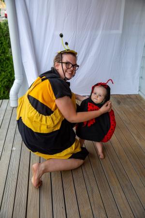 Bee and ladybug